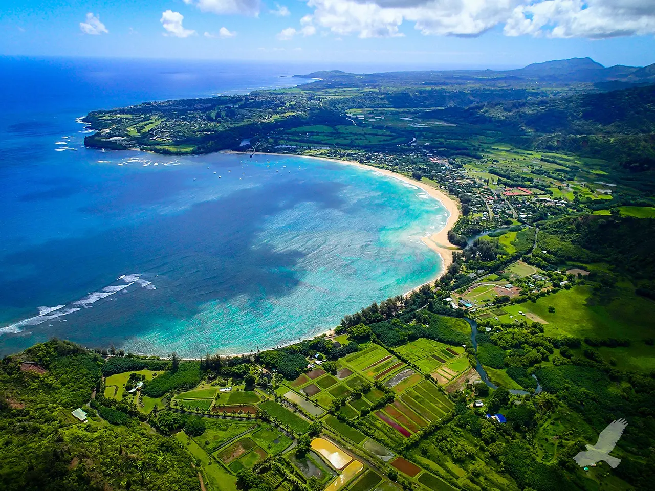 “Hiện tượng Hawaii” và lý do giới siêu giàu “chuộng” biệt thự đảo