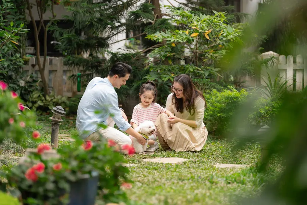cuộc sống tại eco park