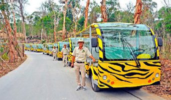 Vinpearl Safari Phú Quốc – Thiên đường thế giới động vật bán hoang dã lần đầu tiên tại Việt Nam