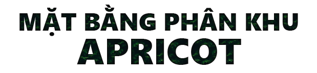 Mặt bằng phân khu Apricot TITLE