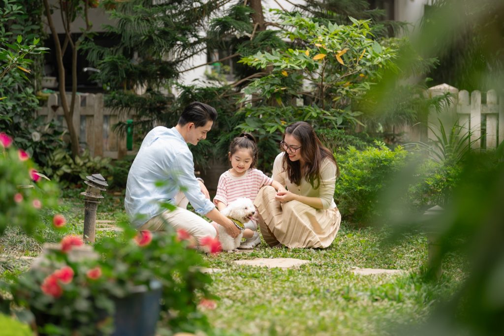 cuộc sống tại eco park